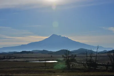 DSC_6021 (Large).JPG